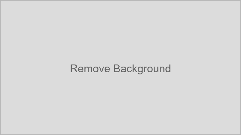 Plomz background removal result showing a product photo before and after — cluttered background removed, clean transparent PNG output